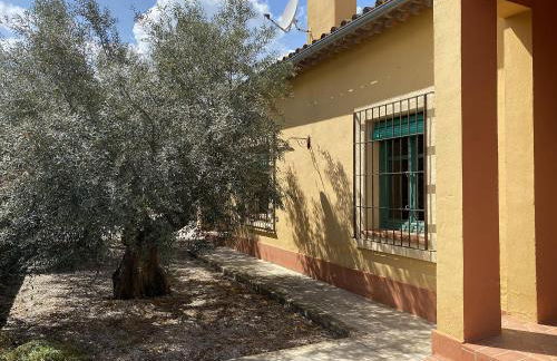 EL BAUZAL DE TRUJILLO - Foto 16