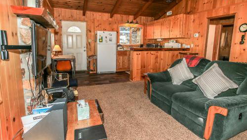 Owl Cabin - Sierra style cabin located on a quiet road in Fawnskin and backs up to National Forest! - Foto 3