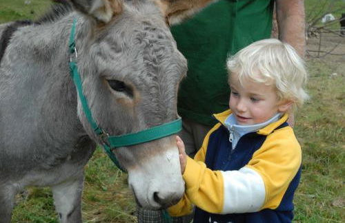 Hotel Agriturismo Santa Margherita - Foto 29