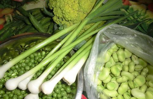 Apartamento en pleno Montseny Mas Romeu Turisme Rural - Foto 61