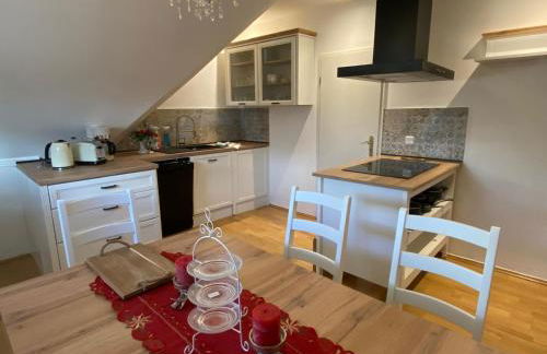 Monsieur Claude - Wohnen in einer historischen Villa - Foto 33