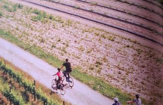 KUĆA U PRIRODI LI - Foto 67