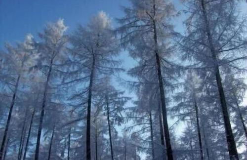 Hof Görrespesch-Ferien im Herzen der Schneifel - Foto 16