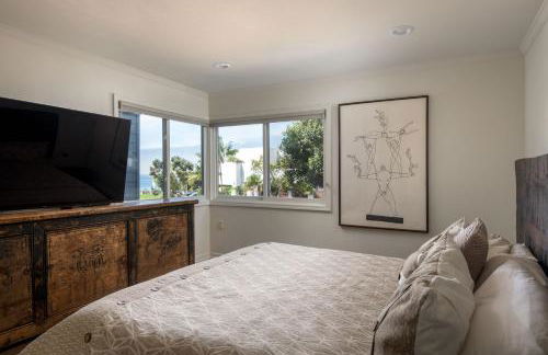 Bird Rock Dream - Pool, Spa, and Stunning Ocean View! - Foto 19