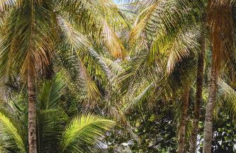 Morada da Praia - Porto de Pedras à Beira-Mar - Foto 11