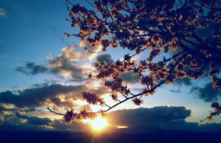 Agriturismo Valiana - Foto 60