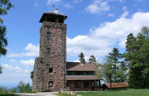 Amstadt's Birkenfels - Photo 6