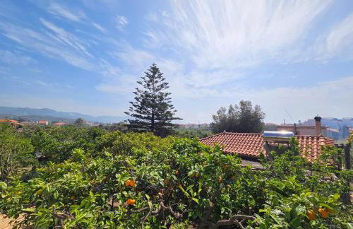 Orange Nest - Foto 19