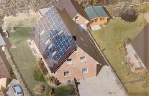 Sonnenblume - Foto 7