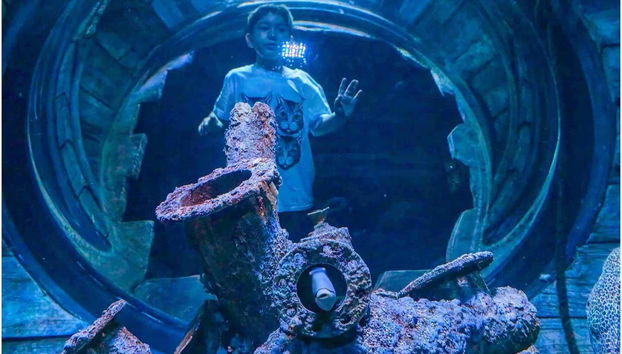 Oman Aquarium Tickets - Foto 2