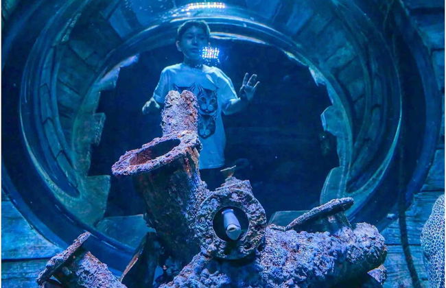 Oman Aquarium Tickets - Foto 2