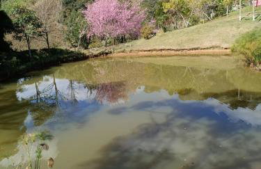 Sítio Bela Vista - Photo 44