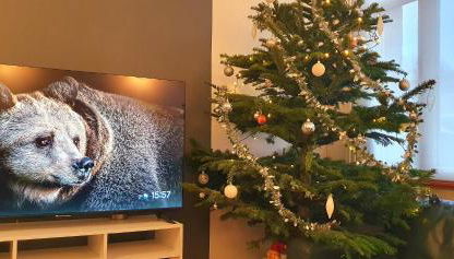 Maison Calme Terrasse et Jardin Vue Forêt - Foto 3