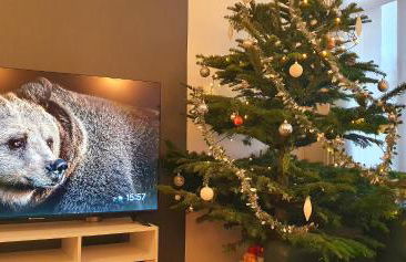 Maison Calme Terrasse et Jardin Vue Forêt - Foto 3