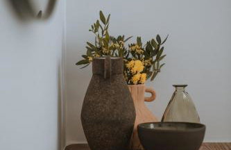 Athera Suites Mykonos - Foto 46