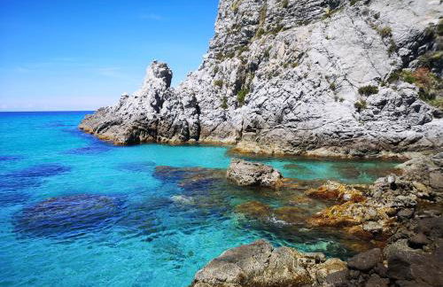 Gallo Fino - Foto 51