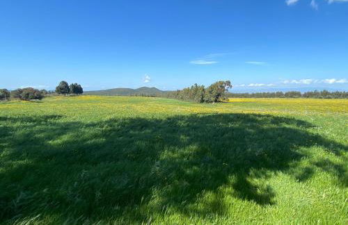 Villetta Sisini - Key to Villas - Foto 8