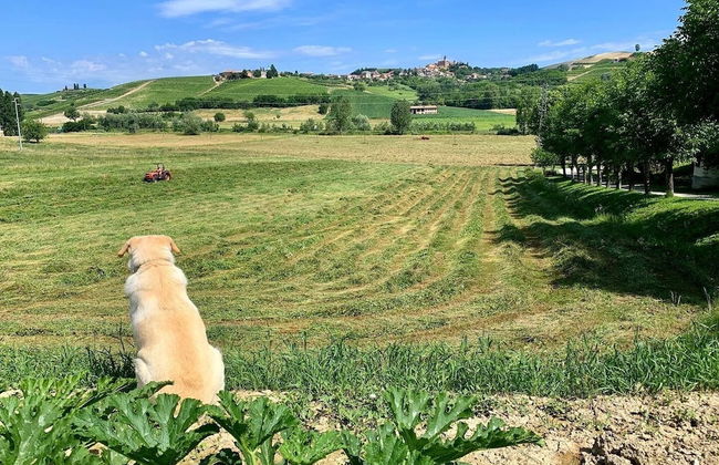 Agriturismo La Mussia - Foto 52