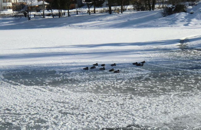 Lovely Apartment in the Stubai Valley - Foto 33