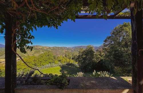 Villa Marchetti Straini - Foto 4