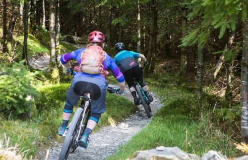 Cape Cottage - Photo 23