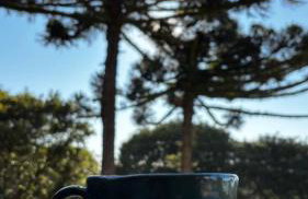 Estúdio Lindíssimo com Varanda! - Foto 2