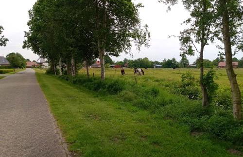 FeWo Unner'd Kastanje - Foto 26