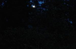 Casa Emilia - Foto 56