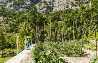 Apartment Kuzmanić - Foto 23