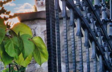 Agriturismo La Marginella - Photo 62