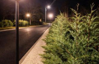 Monte Symphony - Foto 39