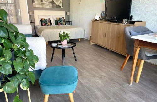 Le Clos Pichot - Studio avec balcon, parking privé - 5mn Gare - Foto 18