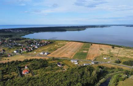 "Lawendowe Wzgórze" - Foto 10