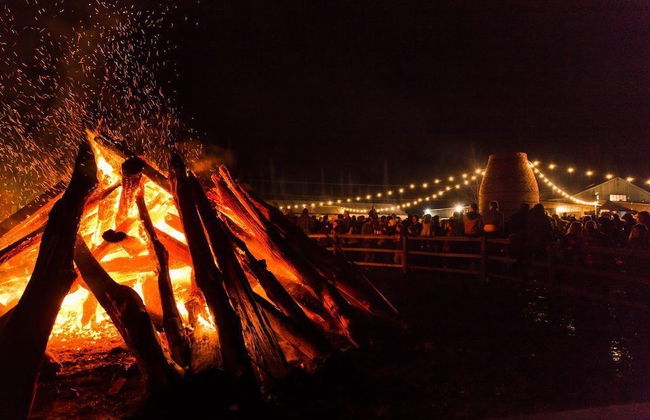 Three Beaches - Chic Eco Home Tasmania - Foto 57