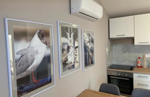 Apartments Nevenka i Josko - Foto 13