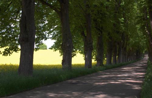 Fischerhus In Krummin - nur für Urlauber - Foto 16