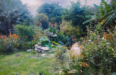 The Artist's Farm - Foto 71