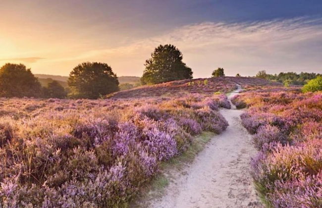 Hoenderloo Getaway With Pool - Foto 36