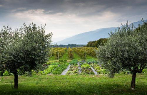 Hotel Agriturismo Al Luogo Del Giulio - Foto 89