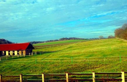 Pensjonat Enklawa - Foto 20