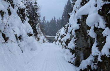 Apartment Almberg - Foto 52