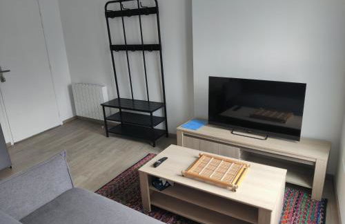 Appartement T3 PLUME Hyper centre d'ERNÉE - Foto 11