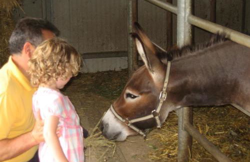 Agriturismo Il Casale - Foto 45