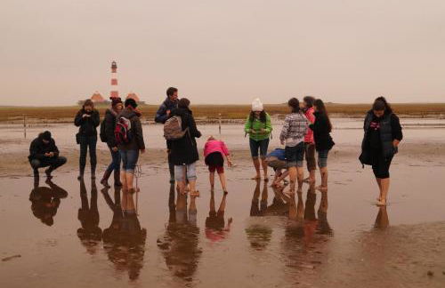 Ferienkate Kap Eiderstedt - Foto 15