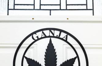 The Ganja Getaway - Foto 2