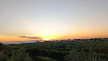 Casa Zaffiro - Sant' Isidoro - Porto selvaggio - Porto cesareo - Foto 2