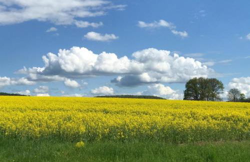 Ferienwohnung Unter Linden - Foto 11