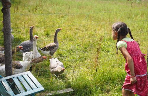Romantische Wohnung Bauernhof, 100m2 offenes Dachgeschoss - Foto 44