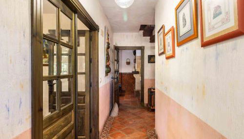 Viña Chica - Foto 5