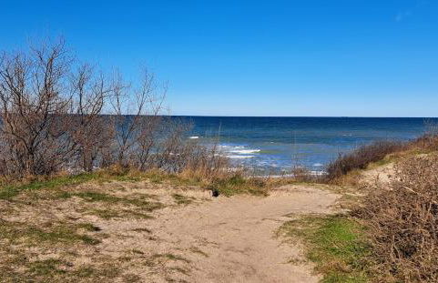Ferienhaus Distelfink mit Sauna und Kamin - Foto 31